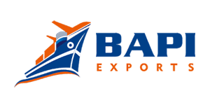 BAPI Export Logo